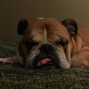 Meet your Posher, Adam